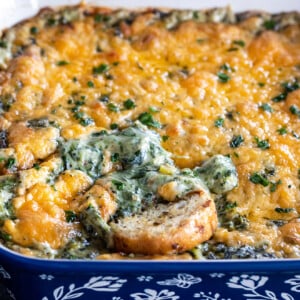 cheesy dip with a toasted baguette slice dipped into it