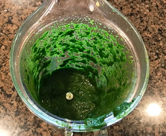 green chutney in a blender