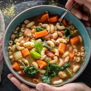 pair of hands holding a soup into a bowl of minestrone soup